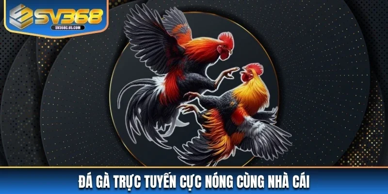 Đá gà trực tuyến cực nóng cùng nhà cái Đá gà trực tuyến cực nóng cùng nhà cái