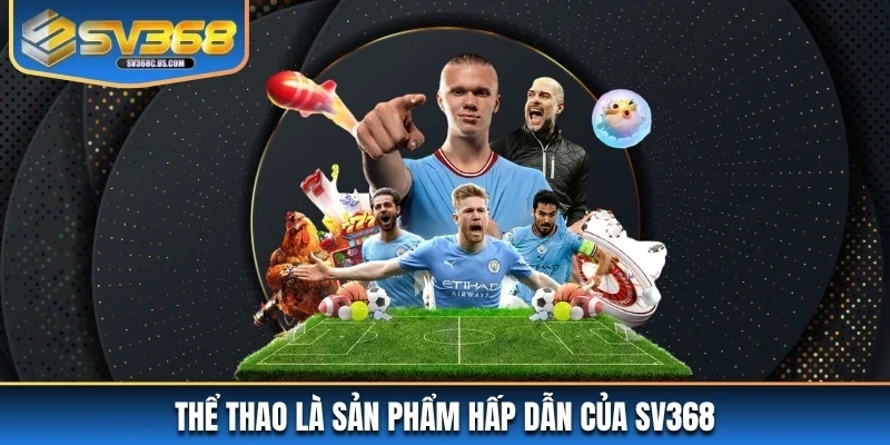 Thể thao là sản phẩm hấp dẫn của SV368 Thể thao là sản phẩm hấp dẫn của SV368
