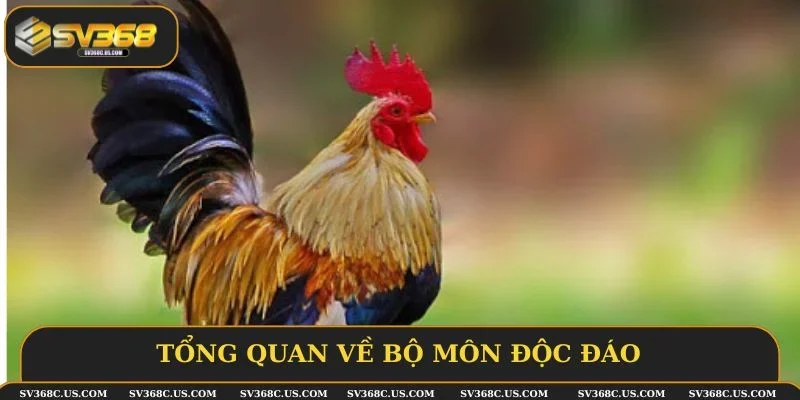 Tổng quan về bộ môn độc đáo Tổng quan về bộ môn độc đáo