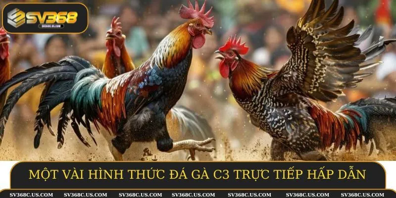 Một vài hình thức đá gà C3 trực tiếp hấp dẫn Một vài hình thức đá gà C3 trực tiếp hấp dẫn